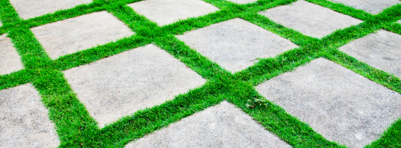 Az udvaron gyep legyen vagy kő?