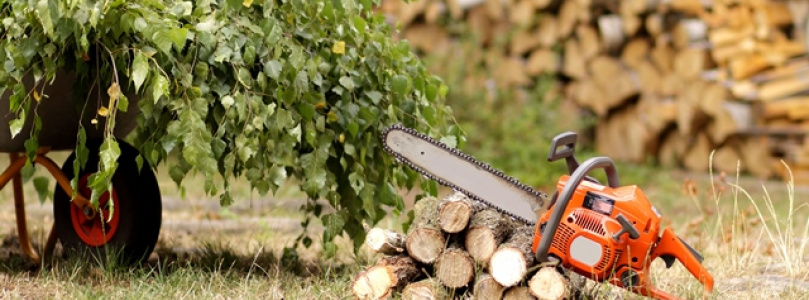 Ha fát kell dönteni...