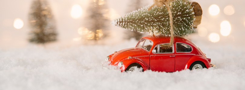 A karácsonyfa útja az erdőtől a feldolgozásig