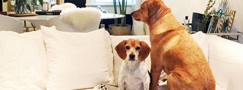 Öt dolog, ami otthonunk kialakításában inspirálhat