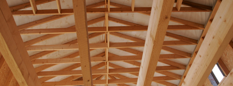 A modern fafödémről dióhéjban