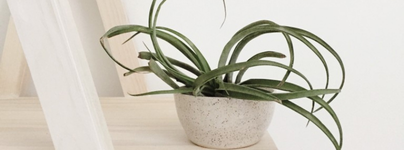 Öt látványos DIY virágtartó