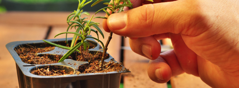 Így alakítsunk ki mutatós és praktikus ágyásokat a kertben