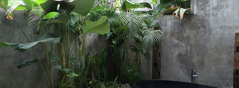 Dzsungelhatás a fürdőszobában