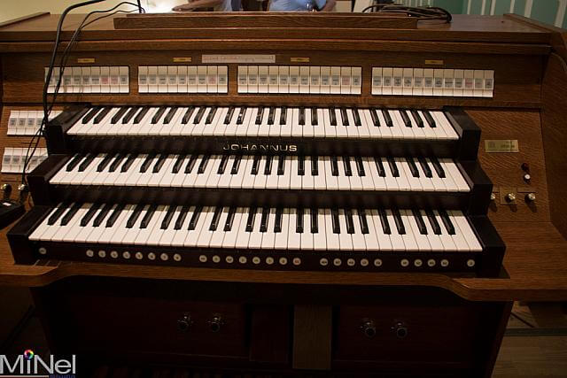 Orgona visszaszallitas