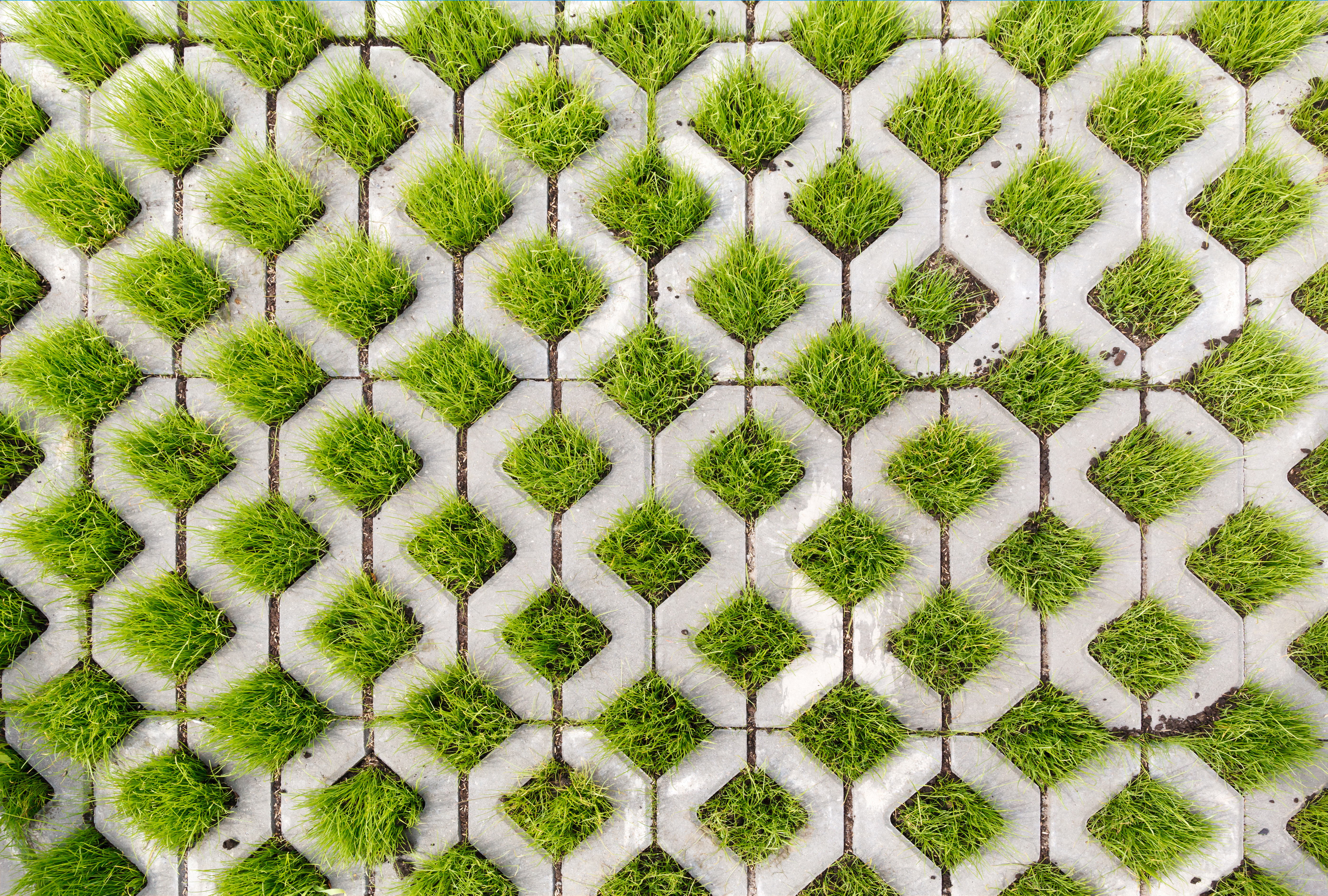 Paving-stone in a lattice shape and green grass in the holes